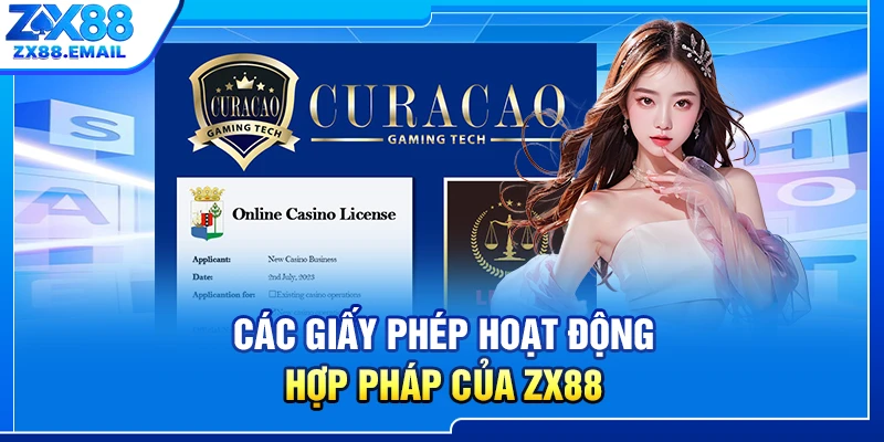 Các giấy phép hoạt động hợp pháp của ZX88